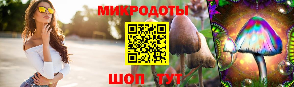 Галлюциногенные грибы прущие грибы  Вход с VPN  Псилоцибиновые грибы Cubensis  Аша 