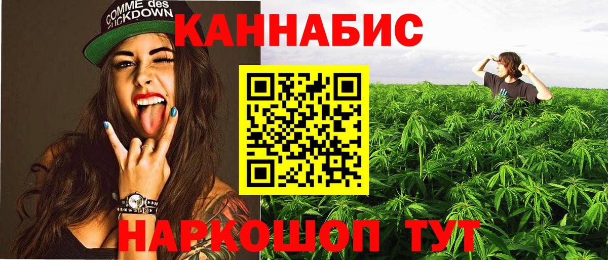 Аша  Канабис конопля  Каннабис гибрид  Вход с VPN  Бошки Шишки семена 